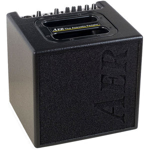 AER Alpha Amplifier 2 channel ultra compact 40 watt acoustic amplifier side