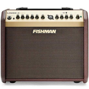 Fishman Loudbox Mini acoustic amp front