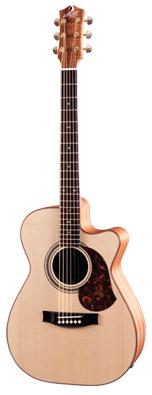 Maton EBG808c Michael Fix楽器 - アコースティックギター