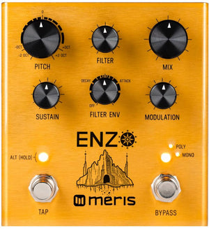 Meris Enzo multi-voice synthesizer