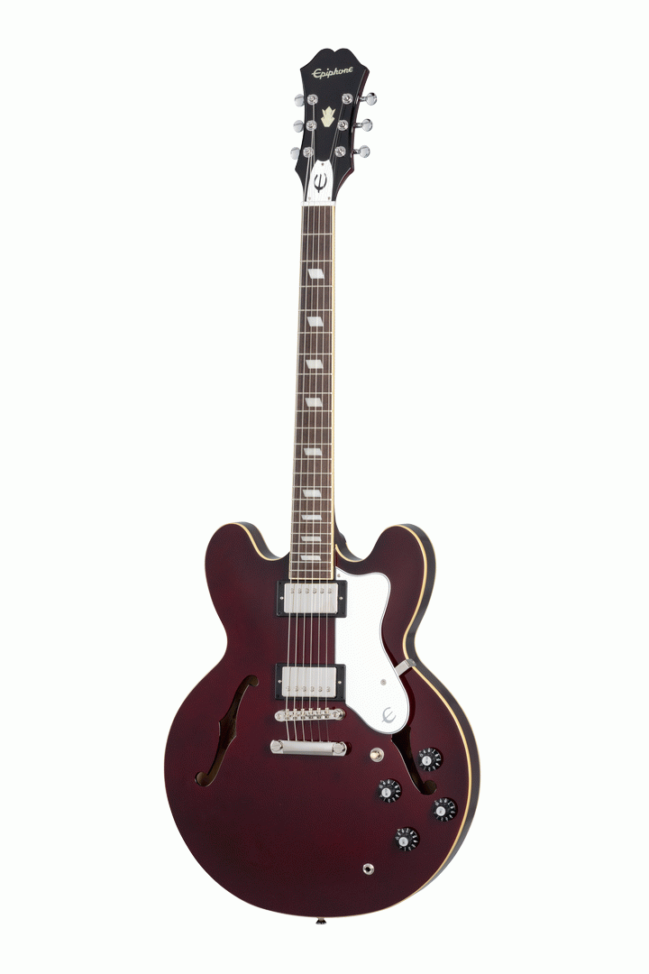 Epiphone shop riviera case