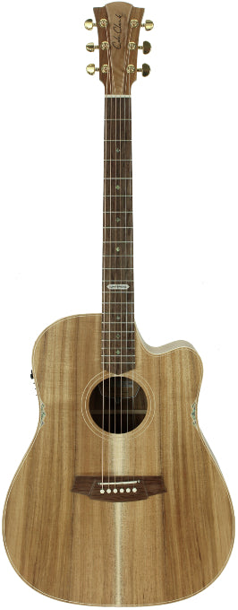 Cole Clark Lloyd Spiegel Signature CCFL2EC-LS