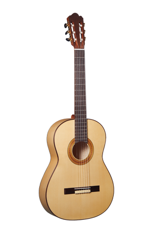 Altamira Torres I Acoustic Guitar
