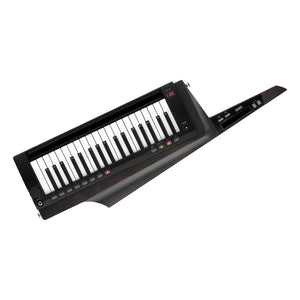 Korg RK-100S 2 Keytar Synthesizer (Black)