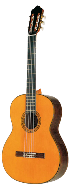 Esteve 8CD - Cedar Top Classical Guitar
