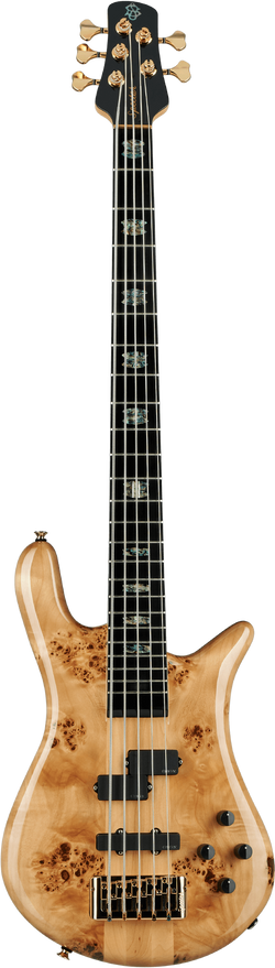 Spector Euro 5 CST Bass Guitar, Natural Gloss