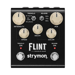 Strymon Flint v2 top view