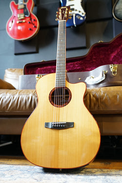 Cort Gold-A10 Cocobolo Acoustic Guitar w/ Hard Case