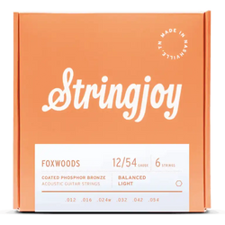 Stringjoy Foxwoods | Light Gauge (12-54) Coated Phosphor Bronze Acoustic Guitar Strings