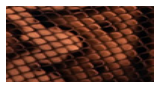 Jackson Custom Shop RR1, Copper Snakeskin