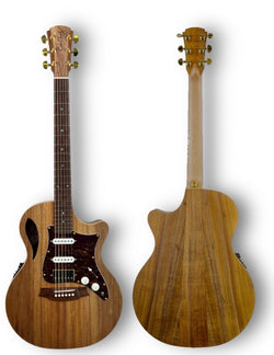 Cole Clark True Hybrid Blackwood/Blackwood, Rosewood Fretboard w/HSS Configuration