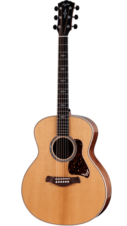 Taylor Gold Label 814e Acoustic-Electric Guitar Front