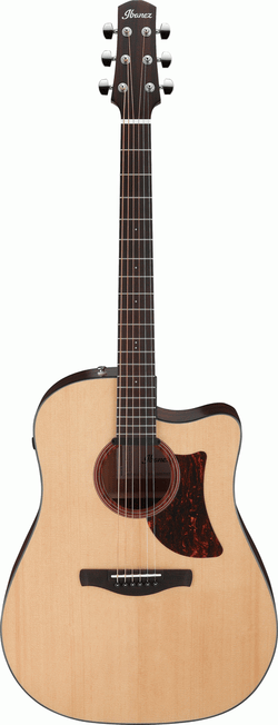 Ibanez AAD170CE LGS Advanced Acoustic