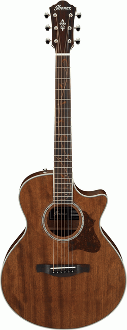 IBANEZ AE245JR OPN ACOUSTIC GUITAR