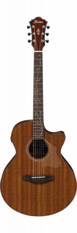Ibanez AE295 LGS Acoustic Guitar