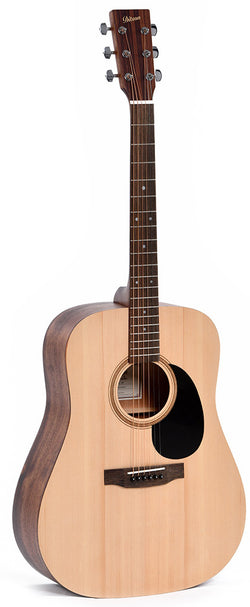 Ditson D-10 Acoustic Guitar