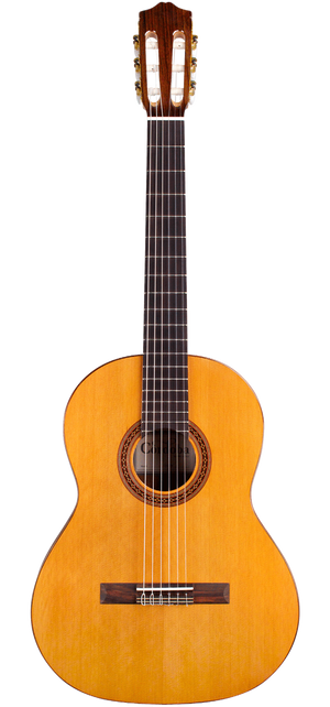 Cordoba C5 Dolce 7/8th Size Classical Guitar