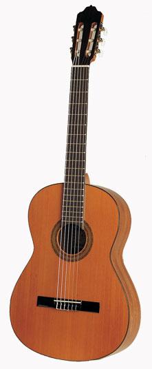 Esteve 4ST Guitar