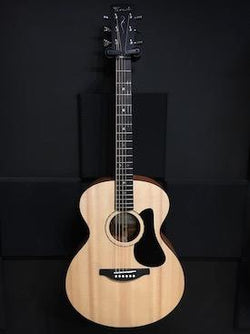 Fenech VT Auditorium NGR Guitar