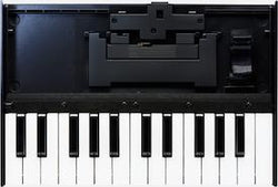 Roland K-25m Keyboard Unit