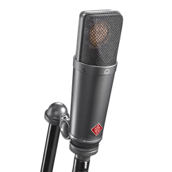Neumann TLM 193 Mic