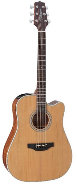 Takamine GD20CE-NS.