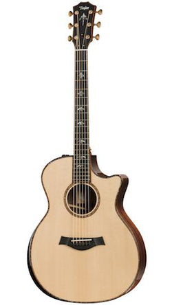 Taylor 914ce Acoustic Guitar