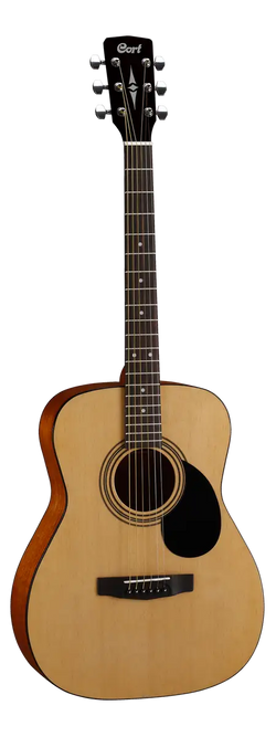 Acoustic Guitars